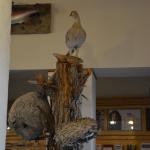 OTRA2013_1958 (July 21, 2013)